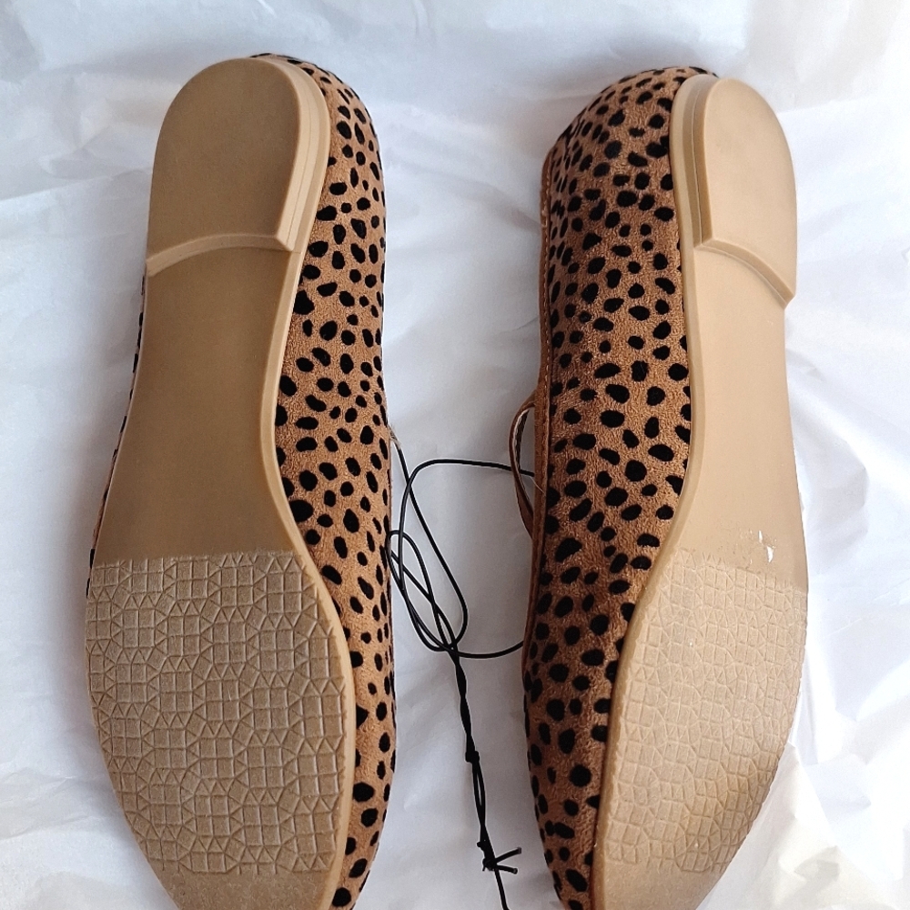 Isaac Mizrahi Flats - Picture 10 of 12